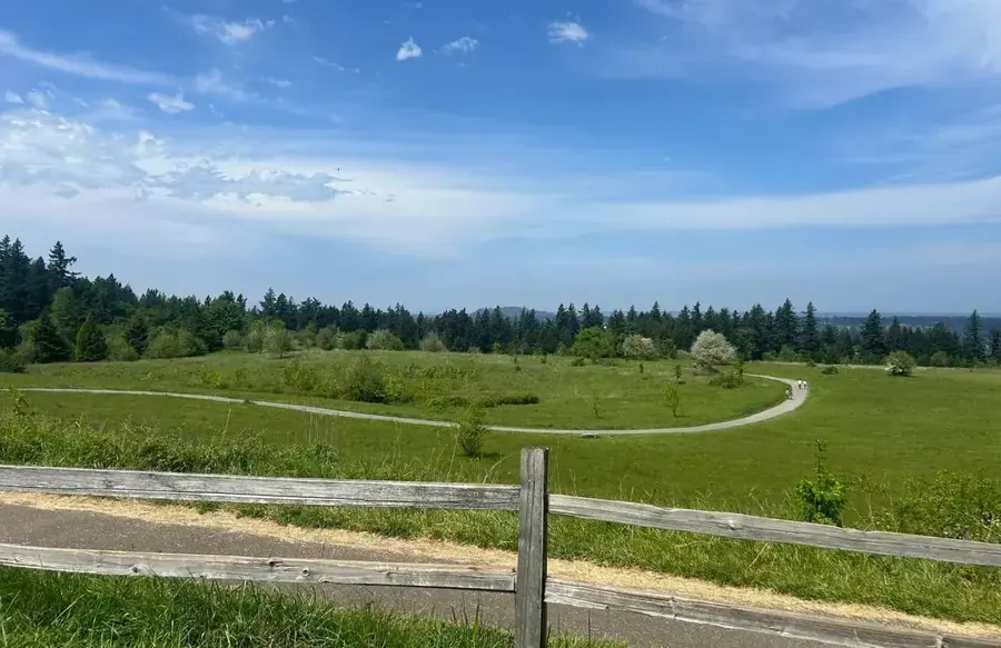 Meadow trail on a forested butte on the east side of the Portland metro, near Gresham, OR